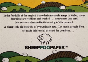 Sheep Poo Paper